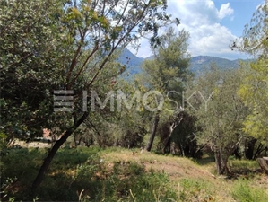 terrain à la vente -   06670  SAINT MARTIN DU VAR, surface 1026 m2 vente terrain - UBI479587580